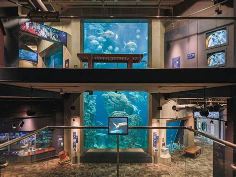 Charleston aquarium - Find all the answers to our most frequently asked questions about the South Carolina Aquarium, located in historic downtown Charleston, SC. Plan Your Visit Tickets & Hours